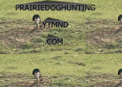 prairiedoghunting.ytmnd.com