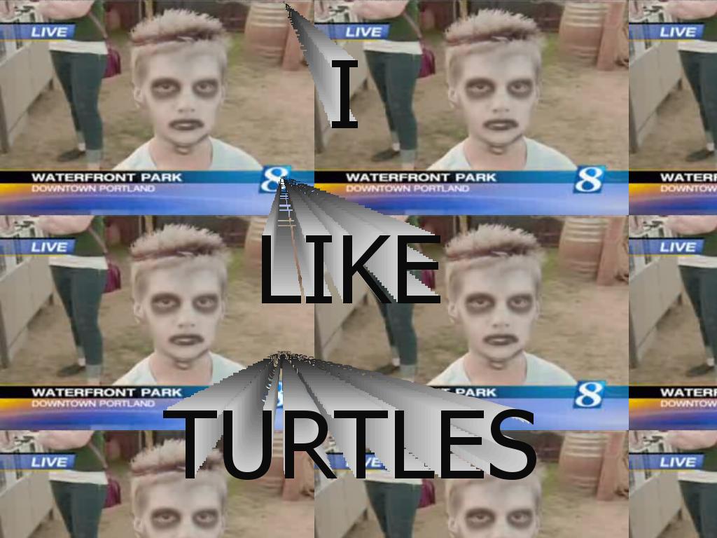 iliketurtles