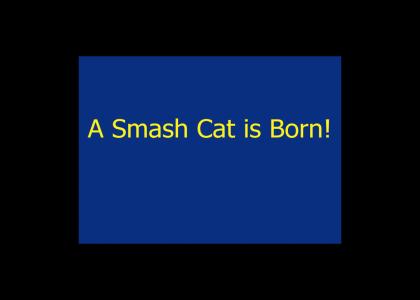 A smash cat is born!