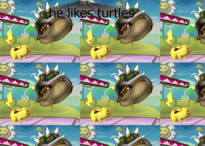 Pikachu likes turtles