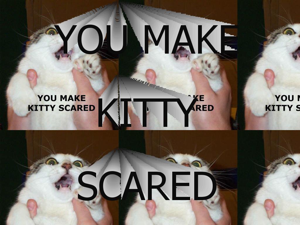 youmakekittyscareded