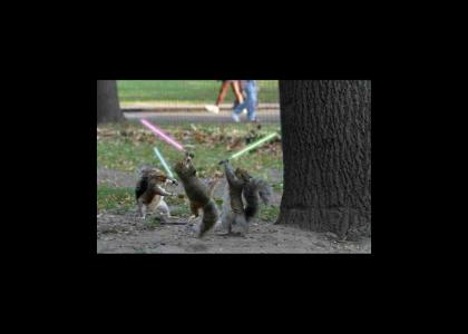 Squirrels Can Be Jedis Too!