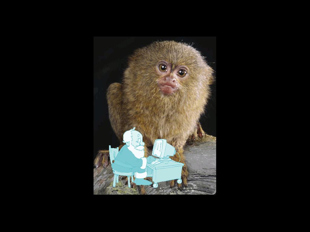 dirtymarmoset