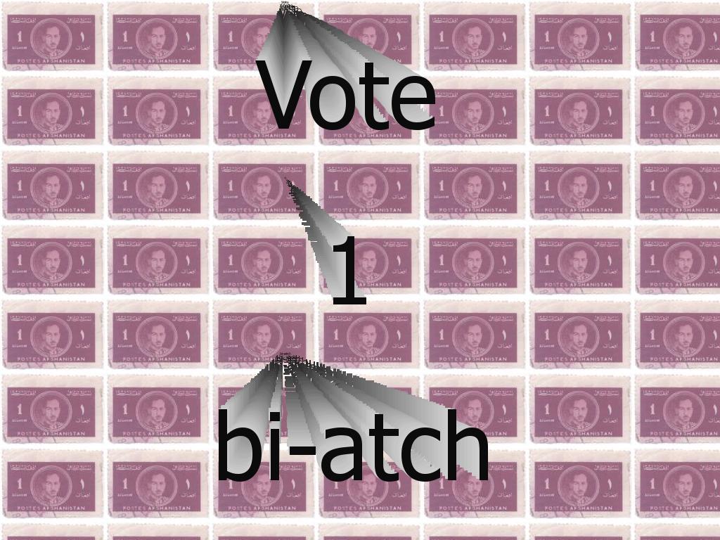 vote1bitch