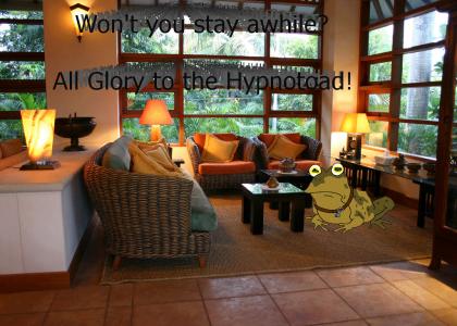 The Hypnotoad Lounge