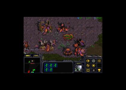 Starcraft - 24 simultaneous nukes