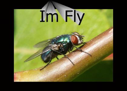 I'm Fly