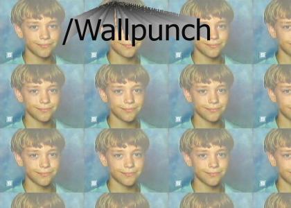 lolwallpunch