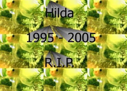 Hilda 1995 - 2005 R.I.P.