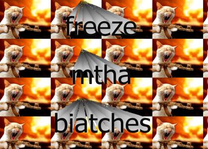 FreezeBitch