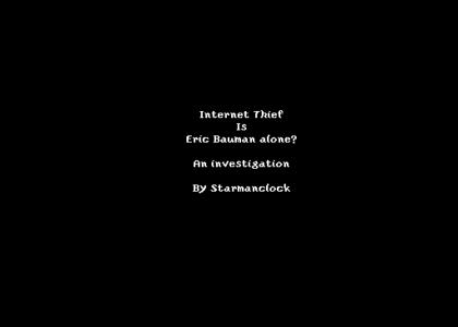 An investigation into Internet Theft