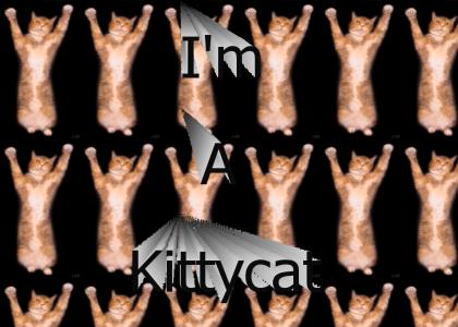 Kittycat Dance