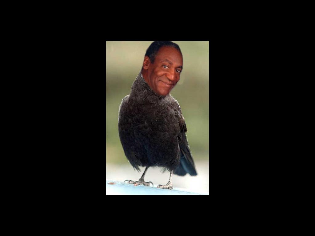 cosbycrow