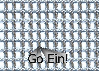 Ein?