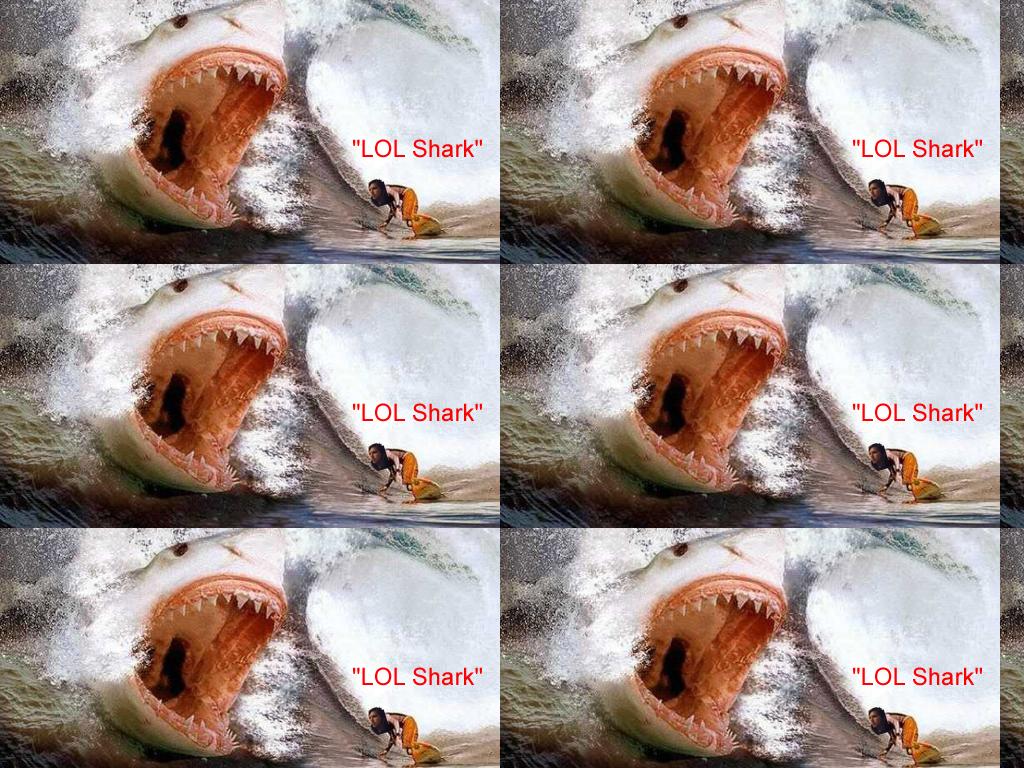 lolsurfshark