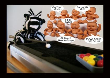 Mr. Zebra PlaysPool For The Babies