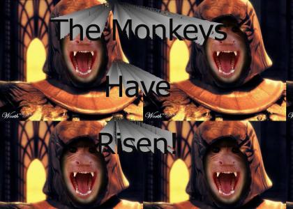 Rise of teh Monkeys