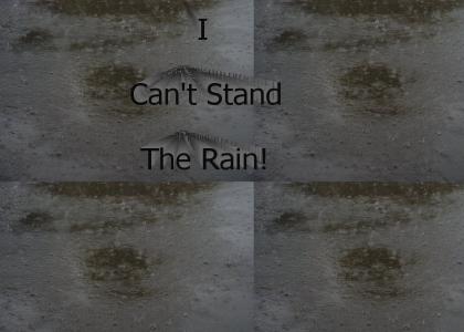 I Can't Stand the Rain!