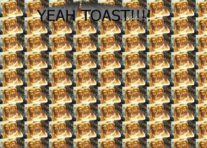 Yeah toast!