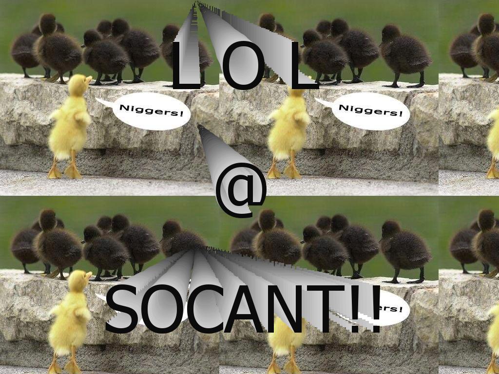 socantlol