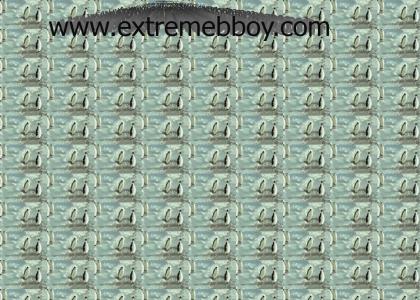 www.extremebboy.com