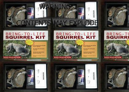 2nd life of your Squirrel, Guaranteed