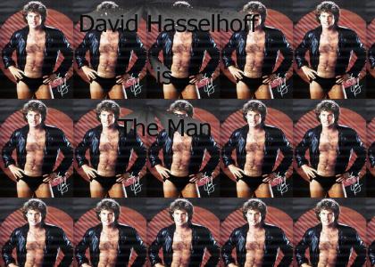 David Hasselhoff Rocks!!