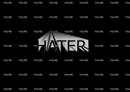 You're One Of Those Haters