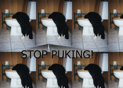 Stop Puking In My Toilet
