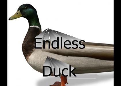 Endless Duck