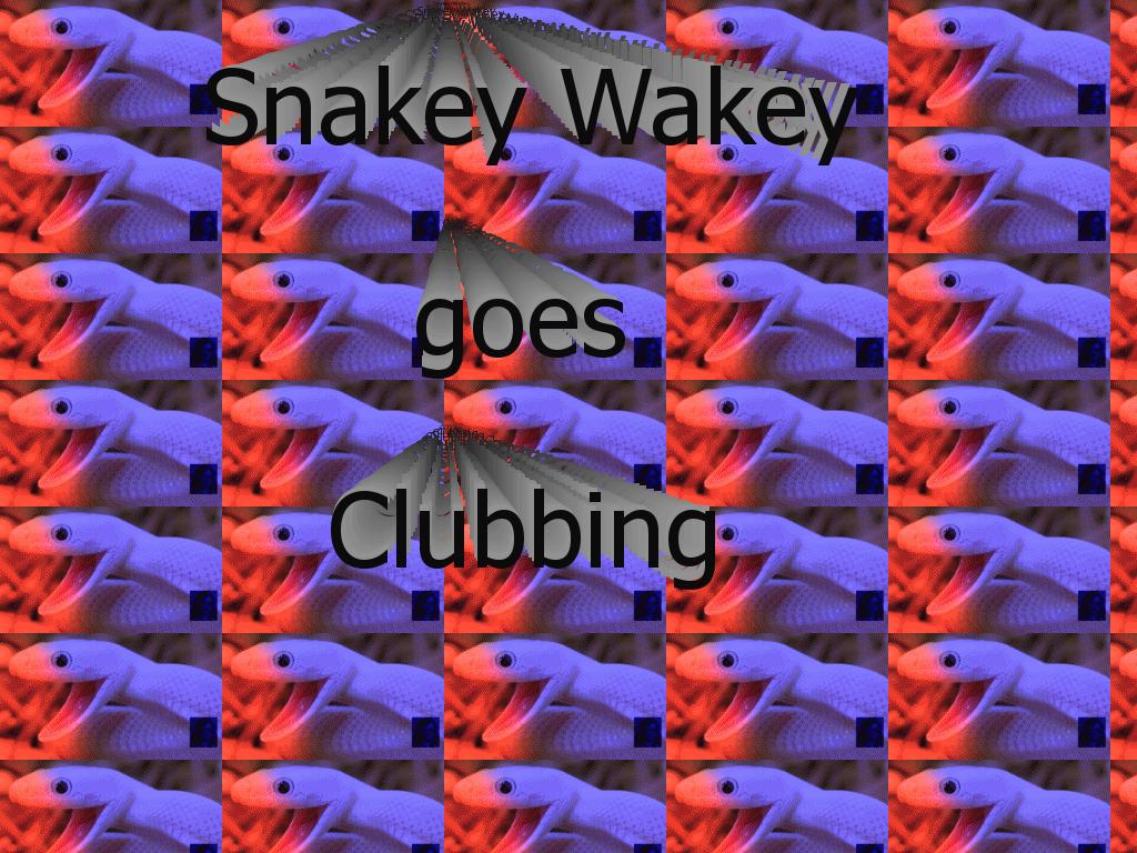 snakeywakeyclubbing