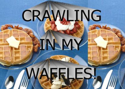 CRAWLING IN MY WAFFLES