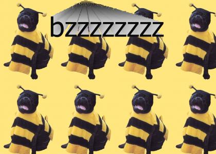 Bee-dog thing
