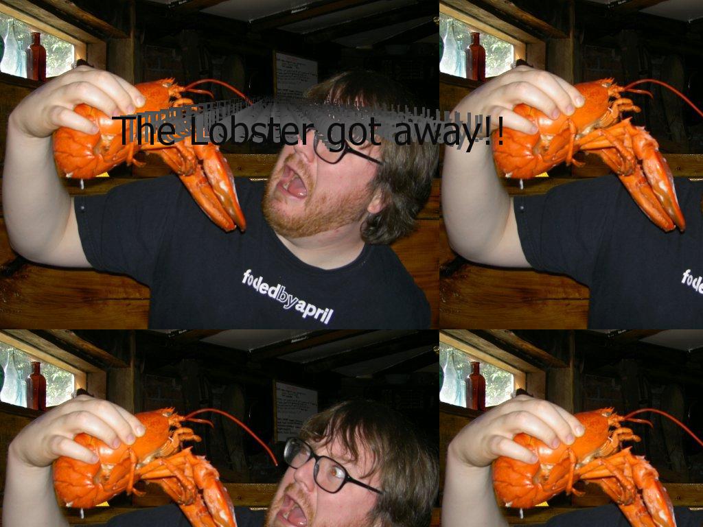 lobsterboohoo