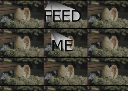 Feed Me