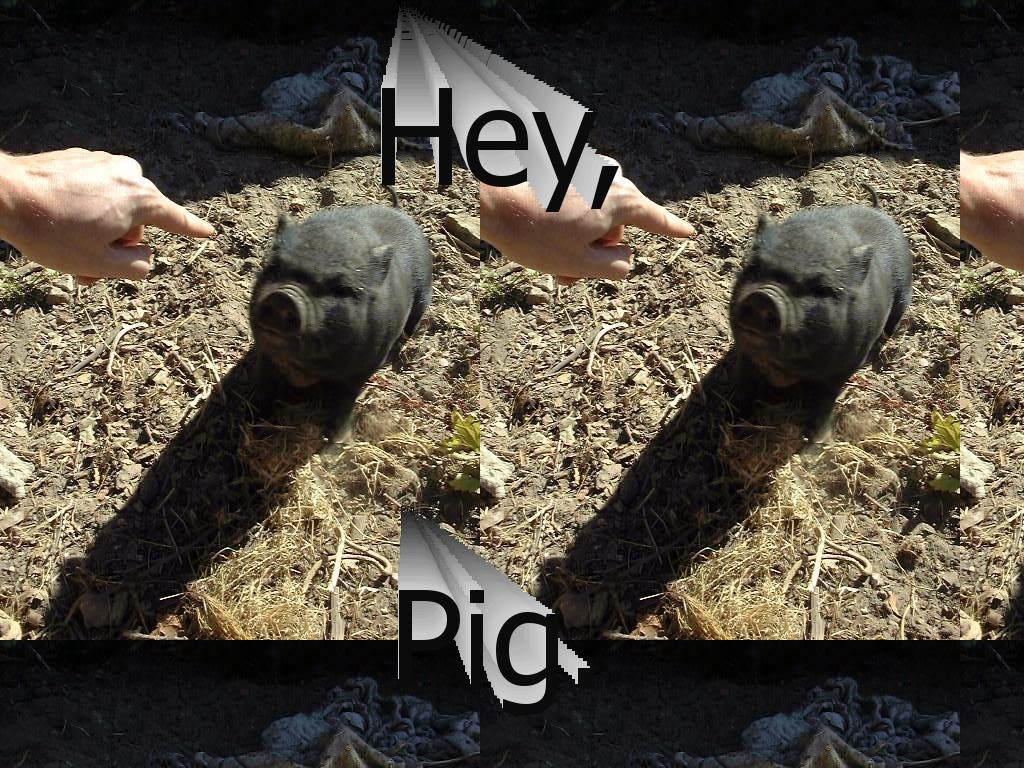 hey-pig
