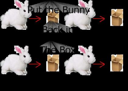 Put the Bunny back in the Box