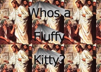 Whos a fluffy kitty?