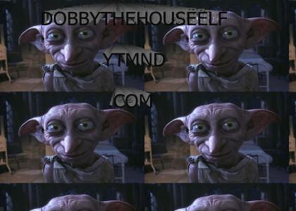 Harry Potter Domain Grabbing Day: Dobby the House Elf