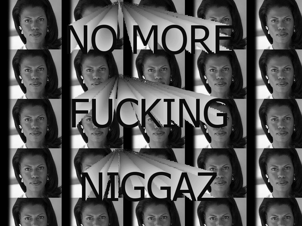 nomoreniggz