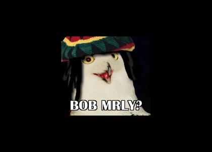 BOB MRLY