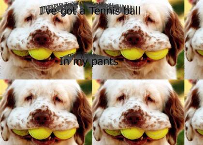 I Have A Tennis Ball in my Pants.
