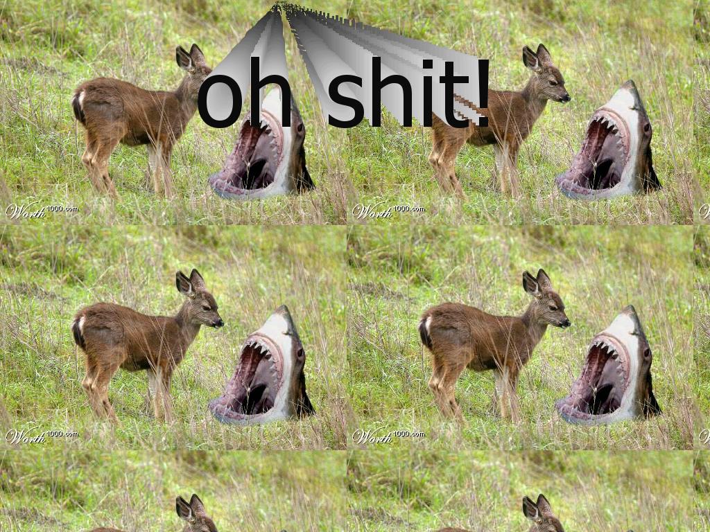 shitlookoutdeer