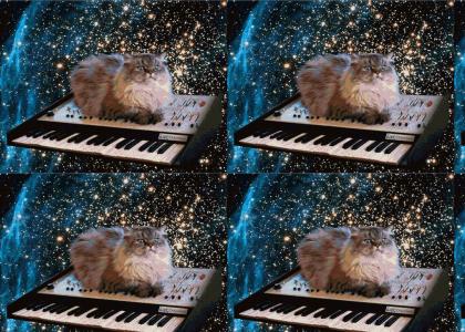 catonakeyboardonacid