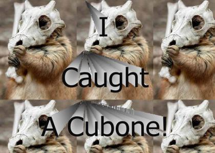 I caught a cubone!