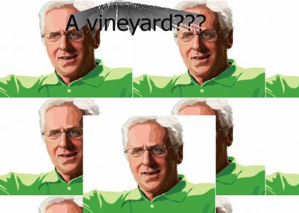 A Vineyard?
