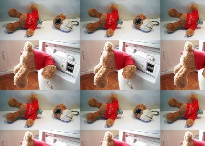Teddy Bear USB Suicide
