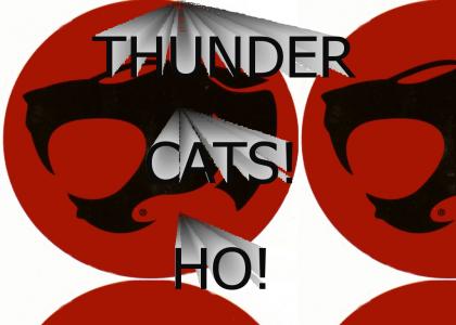 Thunder Cats