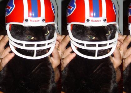 Our cat plays football