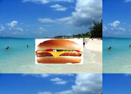 cheeseburger in paradise